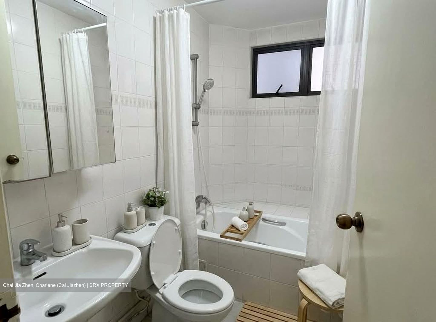 Bayshore Park (D16), Condominium #548944681